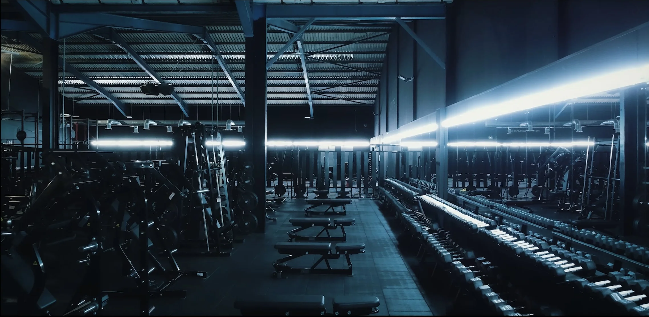 Platinum Hammer Strength equipment at Unit 9 Gym Neath